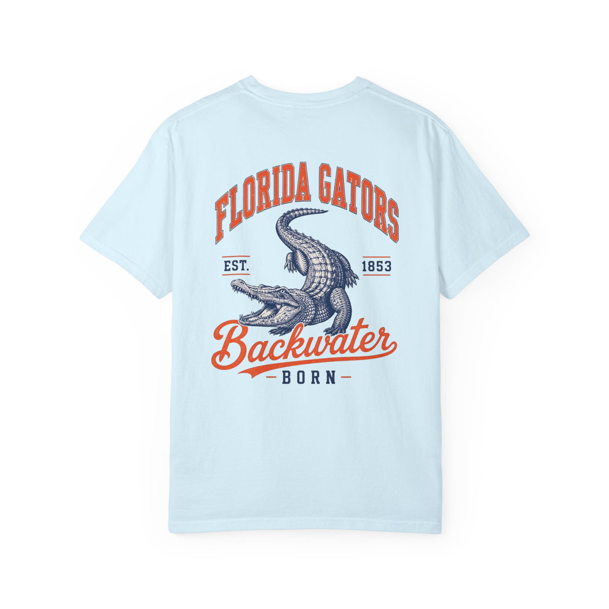 Gators Vintage Graphic