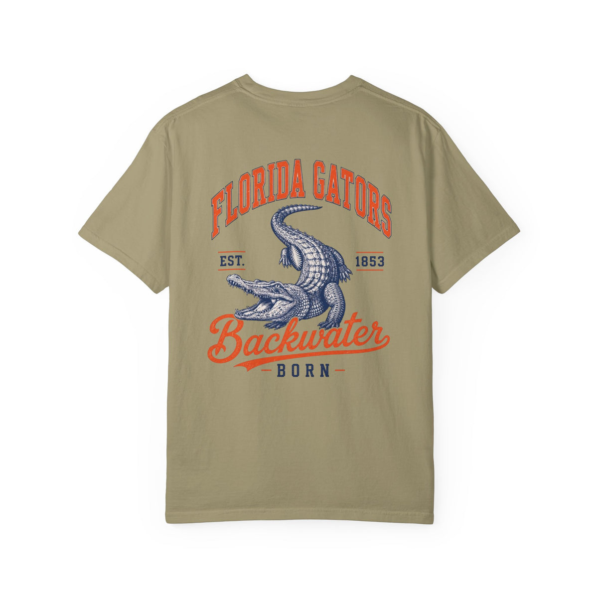 Gators Vintage Graphic