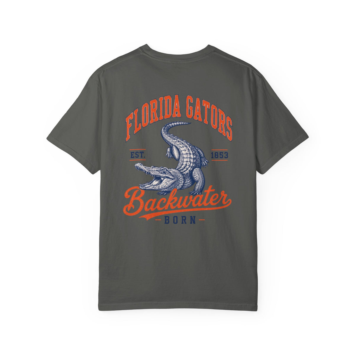 Gators Vintage Graphic