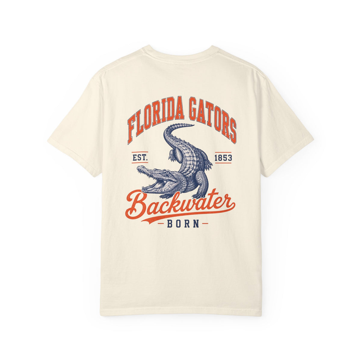 Gators Vintage Graphic