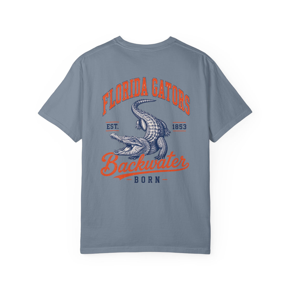 Gators Vintage Graphic